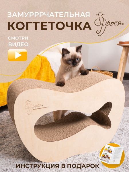 Когтеточка для кошки, картонная Аквариум - купить с доставкой по ...