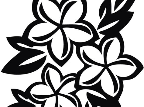 flower floral design frames borders drawing transparent hq png