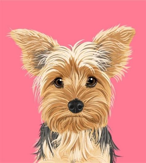 Pin by Роман Корольков on Собаки рисунок | Yorkie painting, Puppy art ...