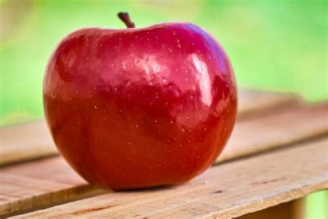 fruit varieties     add   crop portfolio