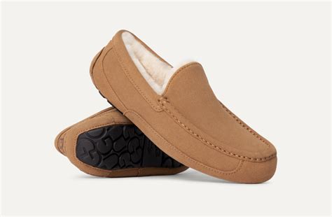 Ascot Slipper | UGG