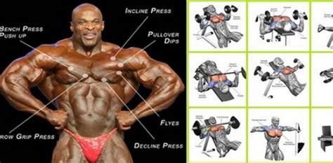 Best Workout To Get Pecs - WorkoutWalls