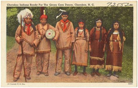 Strength, Unity, and Pride: Cherokee Indians Triumphed Over Adversity ...