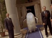 Billy Madison GIF - Billy Madison Penguin - Discover & Share GIFs