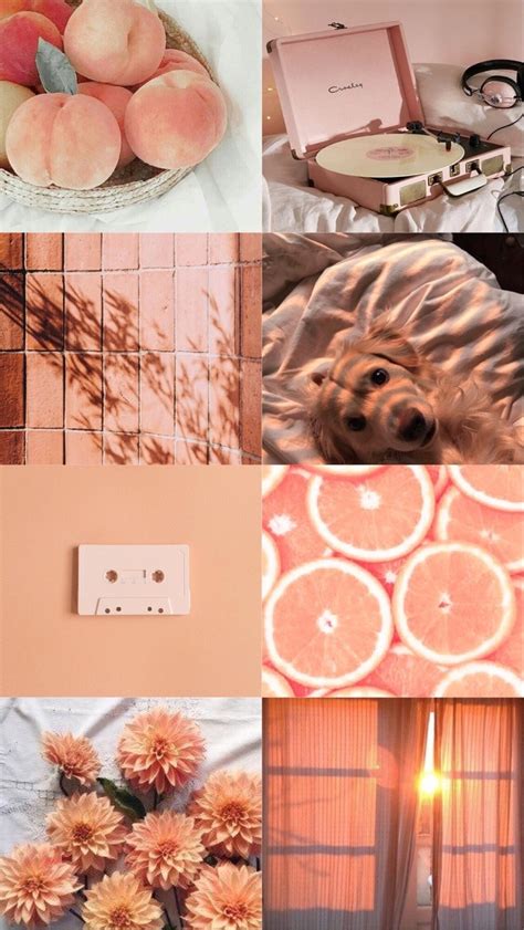 Light Orange / Peach / / / / Background /... |