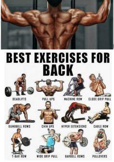 54 Best Back day workout ideas | workout, back workout, gym workouts