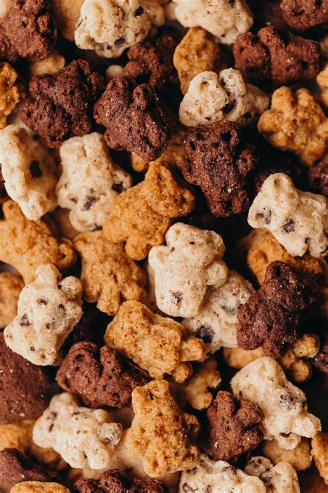 Homemade Teddy Grahams (vegan + gluten-free) | Feasting on Fruit