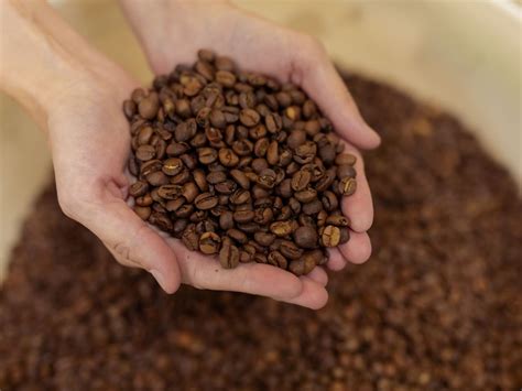 Все о кофе от компании AROMA TEA COFFEE