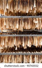 raw rubber images stock  vectors shutterstock