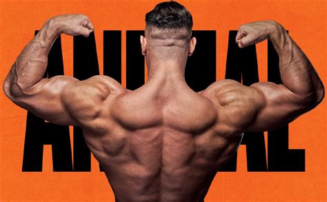 Universal Nutrition Animal Pump – Extreme Nutritions