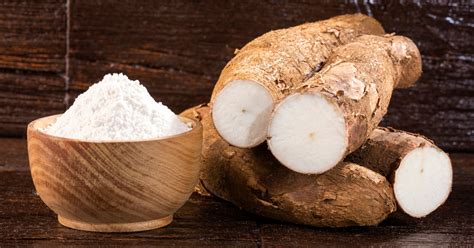 Manioc - Culture, préparations et recettes à base de manioc