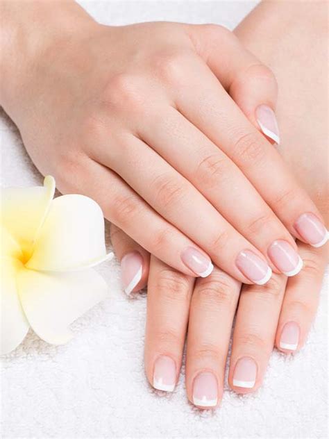 Nail Salon 19053 | SAVVY'S SPA AND NAILS | Feasterville-Trevose, PA ...