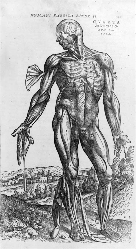 Andreas Vesalius | De humani corporis fabrica (Of the Structure of the ...