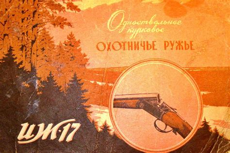 Ружьё ИЖ-17 | библиотека Guns.Club