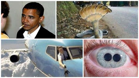 omg  fake    viral  fooled