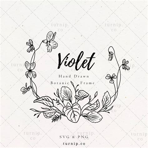 Violet summers 2023 designs – Artofit