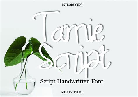 Tamie Script Font by MechaStudio · Creative Fabrica