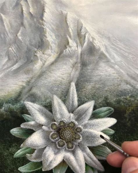 tatuaje montanas dibujo botanico viajar por espana pinturas