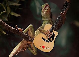 Funny Iguana - Pets Cute and Docile