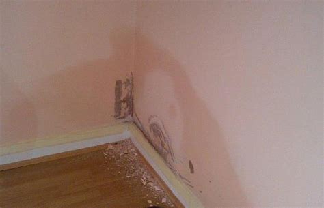 How To Treat Damp Basement Walls In Kitchen - Openbasement