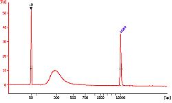 EpiNext Bisulfite Sequencing Kit (Illumina) | EpigenTek