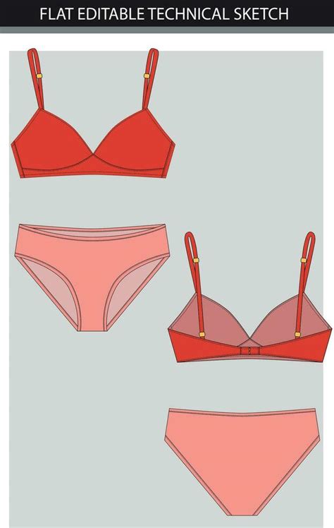 Women's lingerie a set. Vector illustration of a set of lingerie. flat