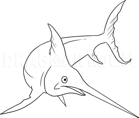draw  swordfish drawing step  step  dawn dragoart