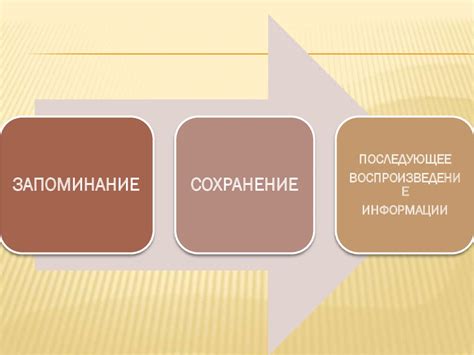 Как развивать память. Основные процессы памяти - online presentation