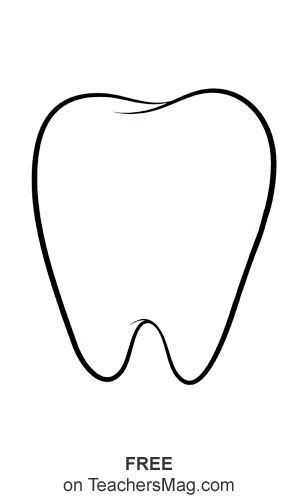 Printable Tooth Template - prntbl.concejomunicipaldechinu.gov.co