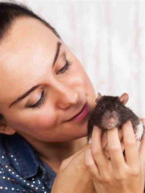 uniquely weird  unusual pets   world frenz