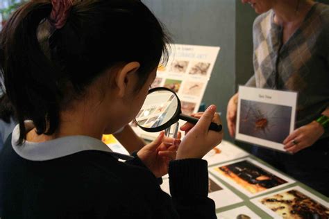 Three ways to put the SCIENCE back in Science Fairs – Your Wild Life