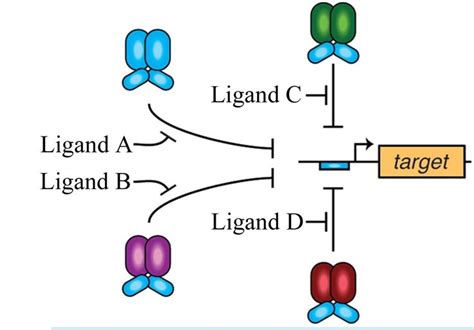 New synthetic gene circuits can perform complex... | Teaching science ... 