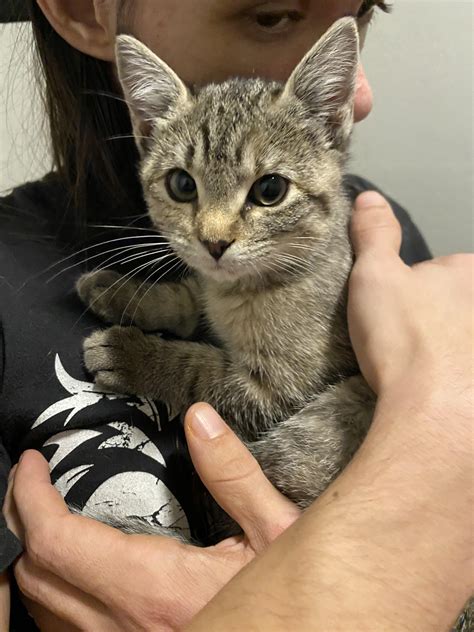 Commuters are complaining about the 24th street station parking lot 5