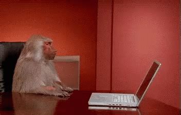 Monkey Mad GIF - Monkey Mad Tired - Discover & Share GIFs