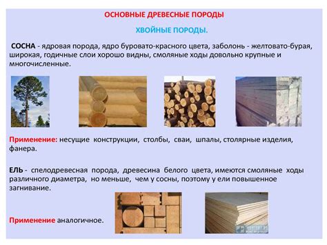 Лесные (древесные) строительные материалы - презентация онлайн