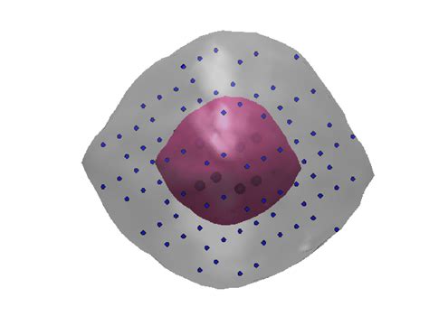 core mantle model  mascons   bennu