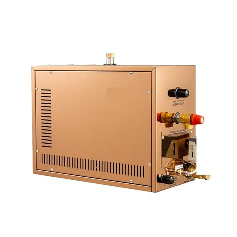 Home Wet Steam Room Steam Bath Generator Household Steaming Sauna Room