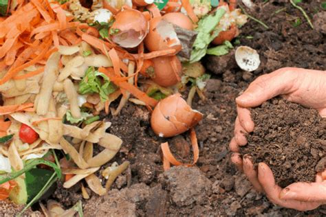 Composting » Family Growing Pains