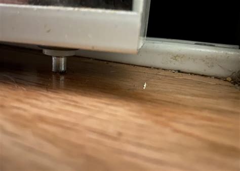 Closet Folding Door Off Track : r/DIY