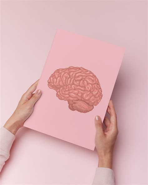 The Brain Anatomy Art Prints - Etsy