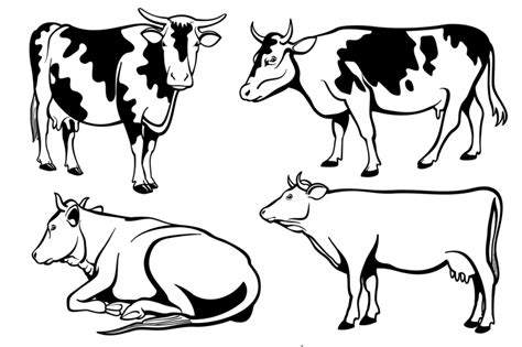 Black and white cows vector set By Microvector | TheHungryJPEG