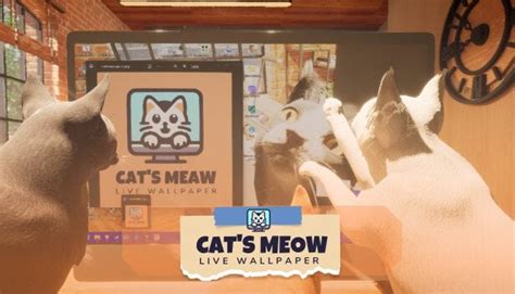 cats meow  wallpaper transform  boring desktop wallpaper