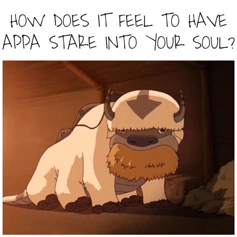 appa   cute rthelastairbender