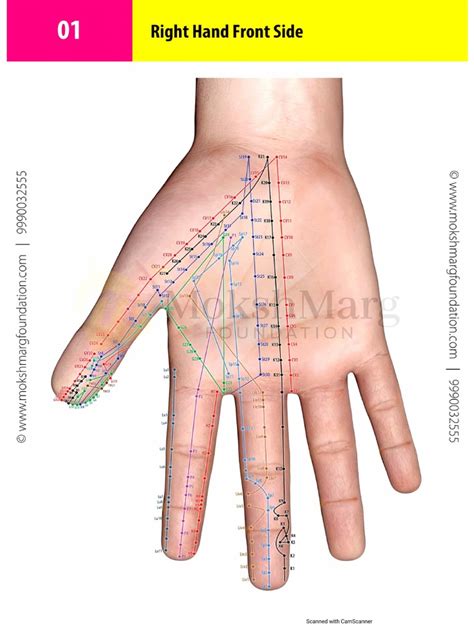 Meridian Chart | PDF