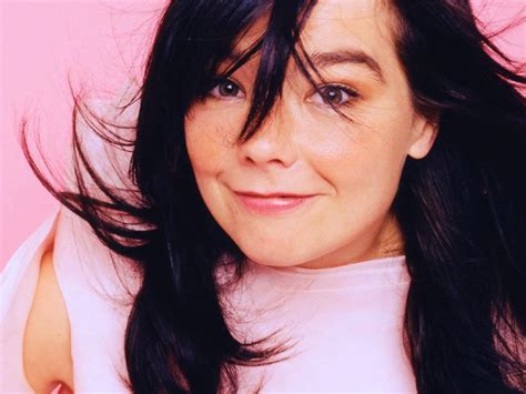 bjork blog beta pics