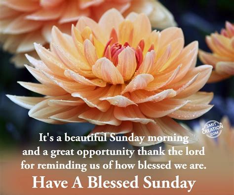 Another Way To Say Have A Blessed Day | dev.onallcylinders.com