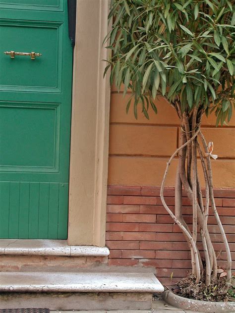 green door Free Photo Download | FreeImages