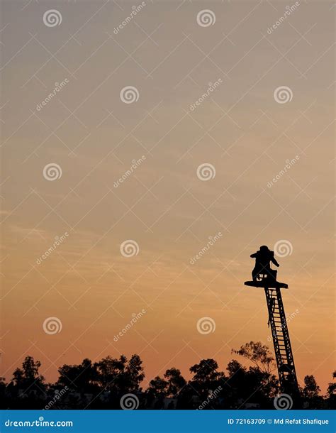 Cameraman Filming on a Crane Stock Image - Image of concert
