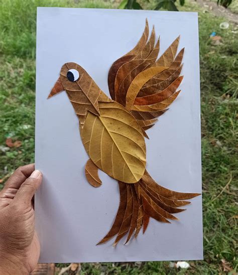 sketsa gambar kolase  daun kering terbaru kump vrogueco