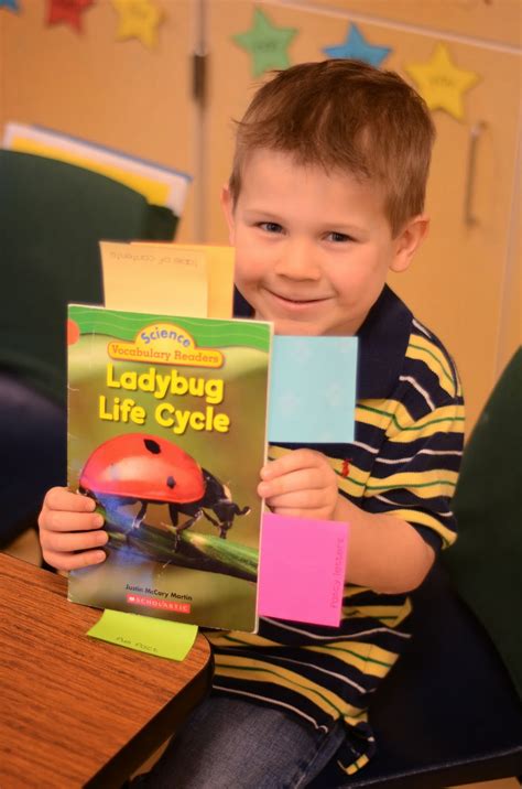 A Place Called Kindergarten: nonfiction find it activity